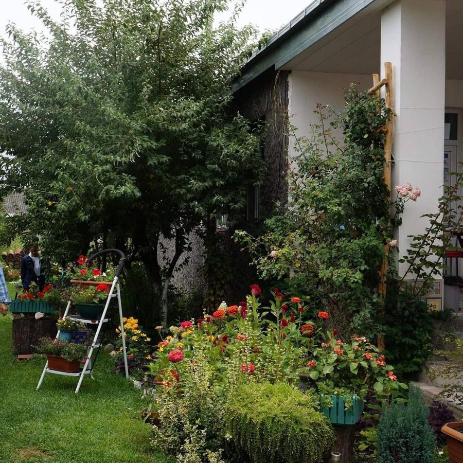 Leila'S Guest House Joqolo 외부 사진